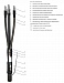Муфта  3 КВТп-10  (25-50) с наконечниками ZKabel