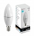 Лампа Gauss LED Elementary Свеча 6W E14 420lm 3000K