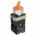 Переключатель LAY5-BK2565 2 положения желтый  IEK
