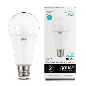 Лампа Gauss LED Elementary A67 30W E27 2360lm 4100K
