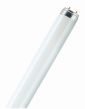 Лампа люминесцентная G13 OSRAM L36/640 d26x1200mm 2850lm 4000K